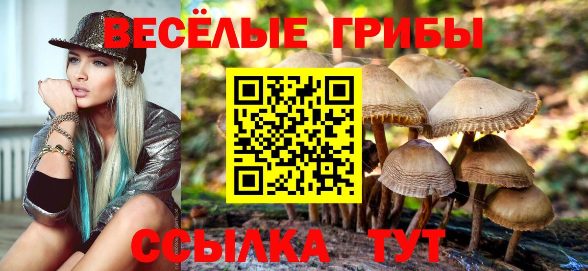 Псилоцибиновые грибы прущие грибы  Вход с VPN  Кропоткин 